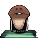 nameko saibai