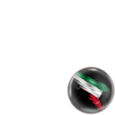 Kuwait National Day