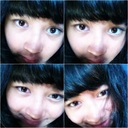 teirex