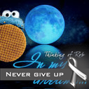 DreamySim1