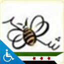 Shahd_F