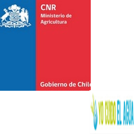 CNRCHILE