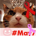 tnomura