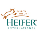 Heifer