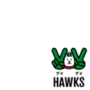 Fukuoka SoftBank Hawks VV