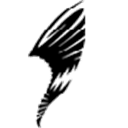 DDS - Vayu