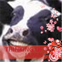 OrganicNYmilk1