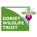 DorsetWildlife