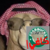 ShagranQ8