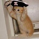 Pirate71