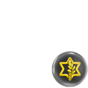 Israel Defense forces