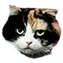 mikeneko