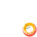 oalshaheen.com