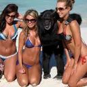 monkeyfartmike