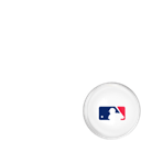 MLB Fans