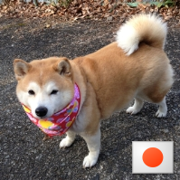 happysadkei