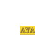 Lambda Upsilon Lambda