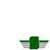 Saskatchewan Roughrider RCAF