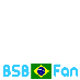 BR BSB fans/BSB Fãs BR