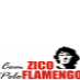 ComZicoPeloFlamengo