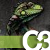 C3_2010