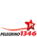 Pelegrino 1346