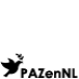 PAZ en Nuevo Leon