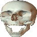 ...............
