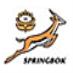 Support The Springboks