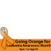 Leukemia Awareness Month