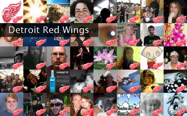 Detroit Red Wings Twibute 50