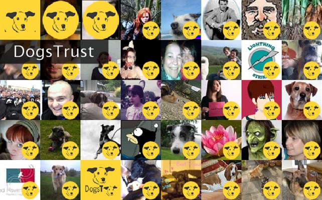 DogsTrust Twibute 50