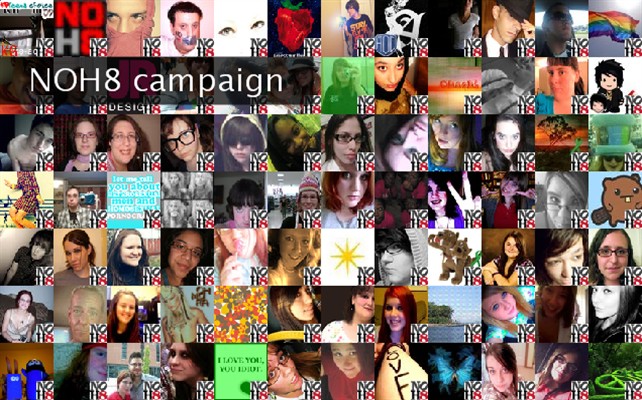 NOH8 campaign Twibute 100