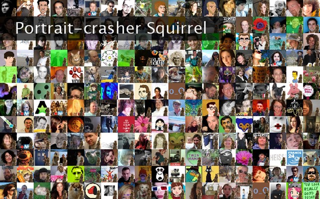Portrait-crasher Squirrel Twibute 250