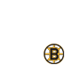 Boston Bruins