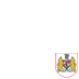 Bristol City for the #championship