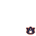 Auburn Football