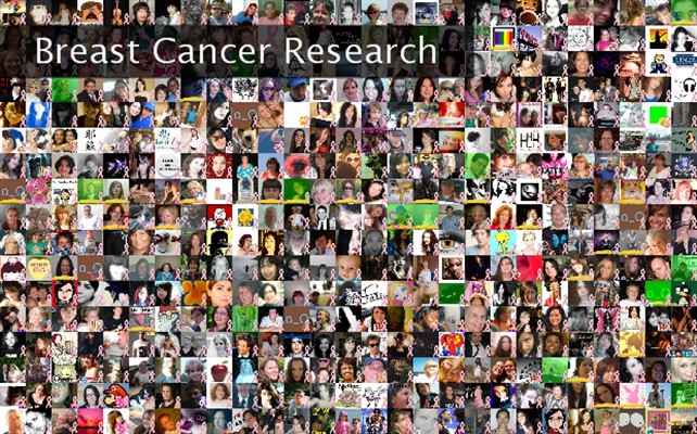 Breast Cancer Research Twibute 500