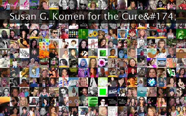Susan G. Komen for the Cure® Twibute 250