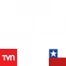llenemoschiledebanderas4