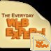 everydayweb