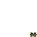 Michigan Football