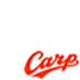 Hiroshima Carp