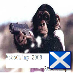AsboChimp