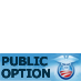 Health Reform, Public Option