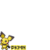 Pokemon Gamer Fans