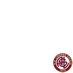 A.S. Livorno Calcio
