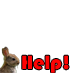 Save the Rabbits!