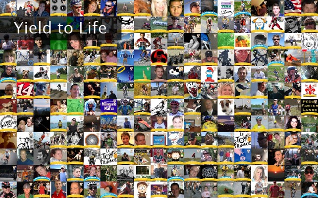 Yield to Life Twibute 250