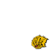Arkansas-Pine Bluff Golden Lions